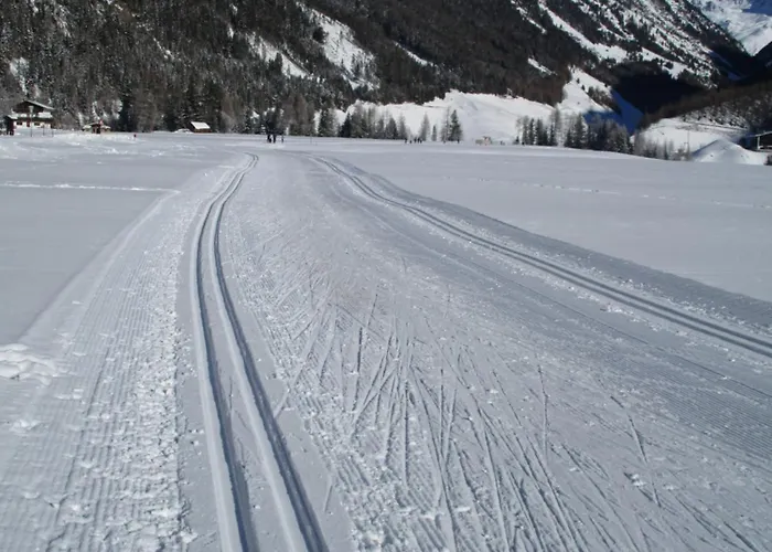 Daire Loreen Niederthai